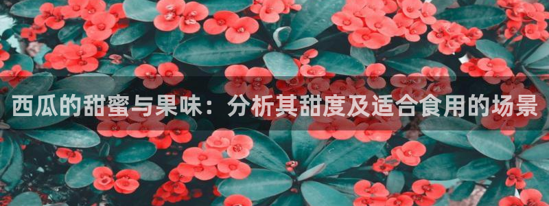 吃瓜电影:西瓜的甜蜜与果味:分析其甜度及适合食用的场景
