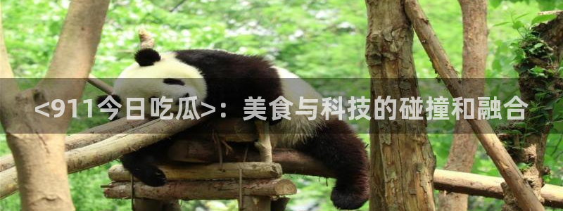 黑料,:<911今日吃瓜>:美食与科技的碰撞和融合