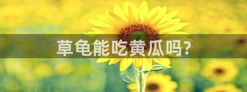 黑料:草龟能吃黄瓜吗?
