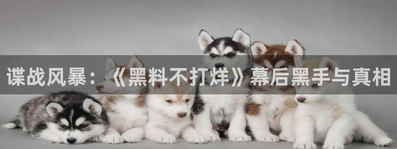 ccgg.ct今日吃瓜:谍战风暴:《黑料不打烊》幕后黑手与真相