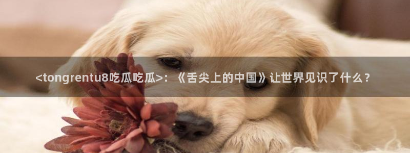 91吃瓜网今日吃瓜入口:<tongrentu8吃瓜吃瓜>:《舌尖上的中国》让世界见识了什么?
